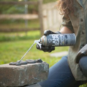 Dap Landscape Adhesive, Exterior Adhesive/ Filler for Landscaping Projects Bonds to Block/ Stone/ Wood and Most Pond Materials – 0 75650 40440 9