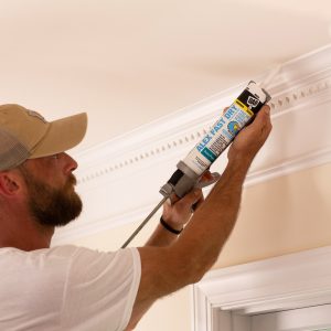 Dap Caulk Sealant, Alex Fast Dry ®, Multi Purpose Acrylic Latex Caulk for Interior and Exterior Applications, Paintable, White – 7079818425