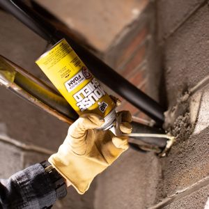 Dap Foam Sealant, Mouse Shield® – 7565012506
