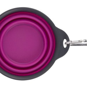 Dexas Pet Dish, One Collapsible Travel Cup, Fuchsia – PW2004322405