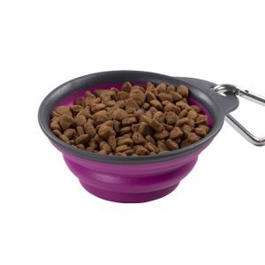 Dexas Pet Dish, One Collapsible Travel Cup, Fuchsia – PW2004322405