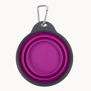 Dexas Pet Dish, One Collapsible Travel Cup, Fuchsia – PW2004322405