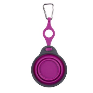 Dexas Pet Dish, Travel Cup, With Bottle Holder and Carabiner, Fuchsia – PW2204322405