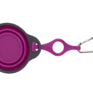 Dexas Pet Dish, Travel Cup, With Bottle Holder and Carabiner, Fuchsia – PW2204322405