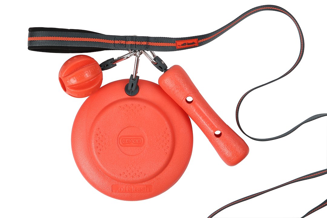Dexas Pet Toy, For Dog, Off Leash Flyer – PWT010-2027