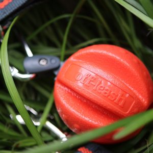 Dexas Pet Toy, For Dog, Off Leash Reaction Ball – PWT011-2027