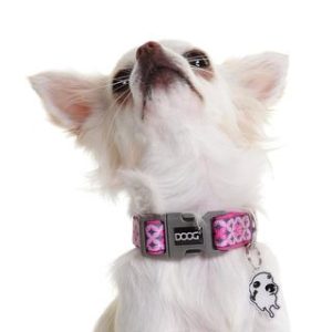 Doog USA Pet Collar, Toto, Large Size for Dog Adjustable from 16 Inch to 24 Inch Diameter/ 1.3 Inch Width, Pink/ Gray, Geometric Pattern – COLPBS-L