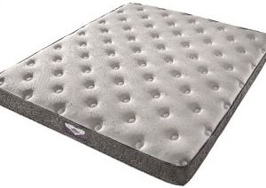 Den Mattress Mattress, Rest Easy Plush, Full, 54 Inch Width X 75 Inch Length, 6 Inch Profile Height – MA-RVREPLF