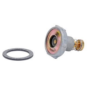 Edelbrock Carburetor Power Valve, For Holley Carburetors, Single Stage, 6.5 Inch of Mercury Opening Vacuum, With Gasket – 12665